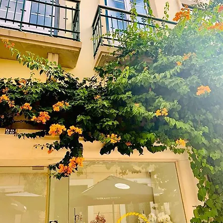 게스트하우스 Senhor Gigi 4*