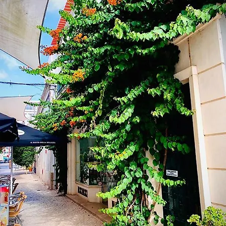 Senhor Gigi 게스트하우스 파로